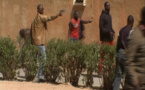 Ndiogou Thiam,  oncle de Ndiaga Diouf : " je suis en colère contre tous "