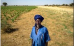 Les villageois sans terre de Mauritanie, obligés d’aller enterrer leurs morts au Sénégal 