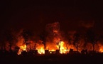 Ranch de Dolly: 4310 hectares ravagés par un incendie