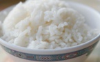 Dr Fallou Sarr : «Du plastique ne peut pas donner du riz»