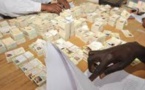 Touba : Une commission de distribution de cartes installée chez un responsable de l’Apr crée le malaise