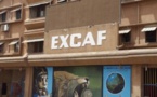 Groupe Excaf : Le siège de la Rdv et trois immeubles vendus aux enchères