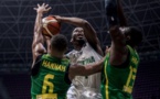 AFROBASKET 2017 : Ces paramètres explicatifs de l’échec des lions