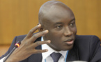 Touba : Ali Ngouille Ndiaye courtise l'électorat mouride et brocarde Abdoulaye Wade avec les "bons verts"