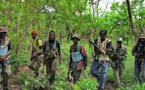 Ziguinchor : 13 morts et 7 blessés dans une attaque dans la forêt classée de Boffa