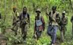 «La population casamançaise voit plus au MFDC une organisation mafieuse qu’un mouvement irrédentiste»*