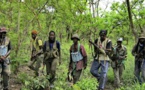 Les membres du MFDC arrêtés dont le très incendiaire Ousmane Diédhiou