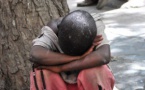 Covid-19 : Un talibé infecté à Thiès