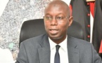 Artémisia : Que cherche le professeur Daouda Ndiaye ?