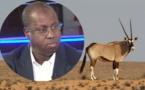 Acte de braconnage du ministre Abdou Karim Sall