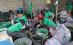 FAO Sénégal : Formation de 34 femmes au respect des normes de qualité sanitaires dans les îles du Saloum