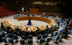 Conseil de sécurité de l’ONU : Quand la Chine et la Russie bloquent l’embargo du Mali