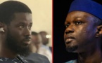 "Bassirou Diomaye Faye ne peut, en aucun cas, bénéficier de l’aura de Sonko", selon Pathé Mbodji