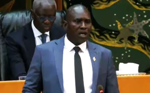 Mady Danfakha interpelle Serigne Mbaye Thiam: "le fleuve Falémé usé, pollué et souillé, est-ce que vous avez pensé à cette situation ?"