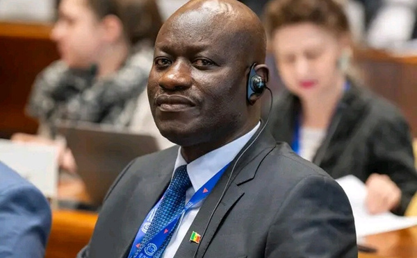 Arrestation des chroniqueurs de Fegnal Digital : Abass Fall interpelle vivement Bassirou Diomaye Faye et fustige des « abus d'État »