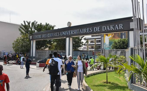 Contentieux universitaire : L’UCAD condamnée à verser 5 milliards de francs CFA à trois anciens étudiants de la FASEG