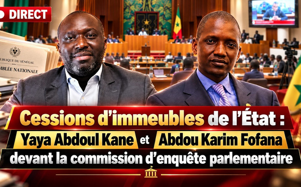 Abdou Karim Fofana et Yaya Abdoul Kane : La Commission d'enquête parlementaire auditionne les anciens dirigeants de l'AGPBE et de la SOGEPA